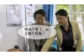 凤庆为什么选择专业追讨公司来处理您的债务纠纷？